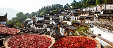 婺源篁岭全景图