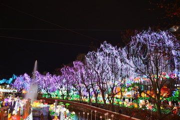 花灯树
