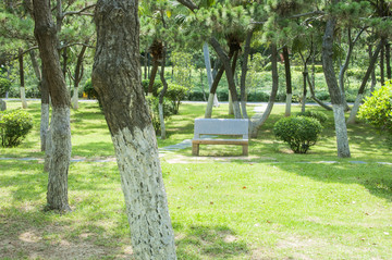 敏月公园园林设计