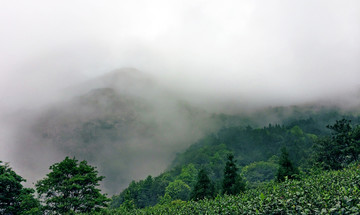 云气中的雁荡山