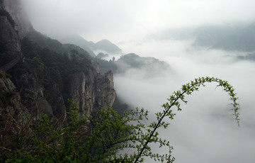 雁荡山