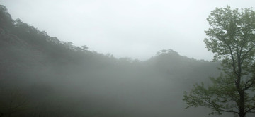 雁荡山雨雾中的大树和亭子
