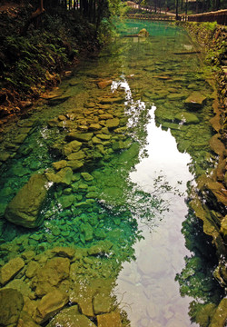 雁荡山的水