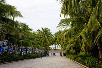 海南岛