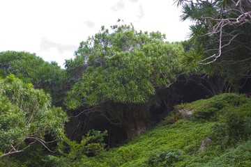大小洞天