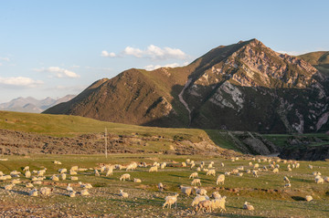 青海祁连山牧场