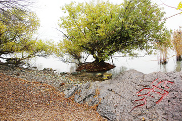 无锡影视基地太湖岸边小景