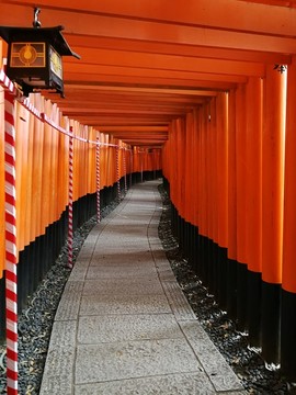 千本鸟居