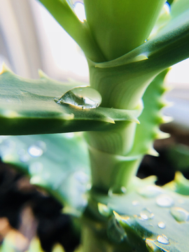 水滴