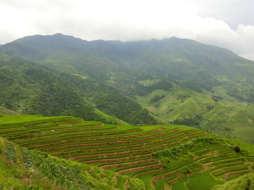 龙胜梯田