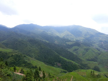 龙胜梯田