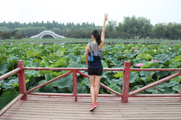 荷塘荷花小桥少女