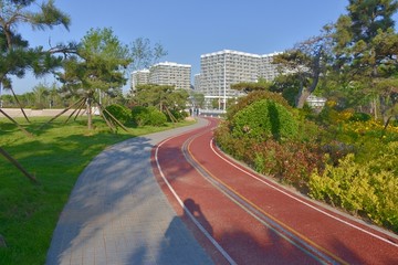 青岛绿道