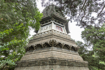 博雅塔