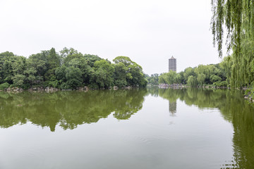 北京大学湖畔