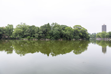 北京大学湖畔