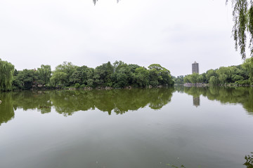 北京大学湖畔