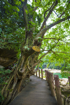 黄果树风景名胜区