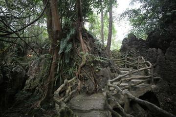 黄果树风景名胜区