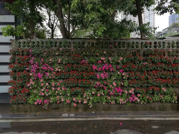 花卉背景墙