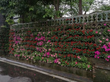 花卉背景墙