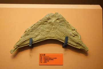二叠纪早期笠头螈头骨化石