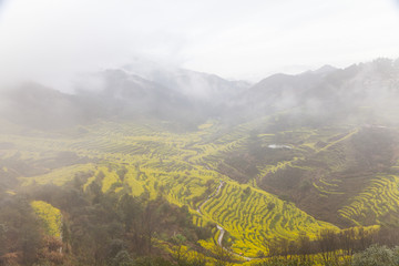 篁岭