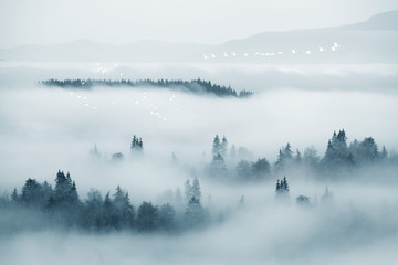 北欧云雾森林背景墙