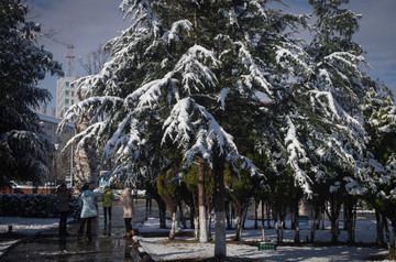 雪景