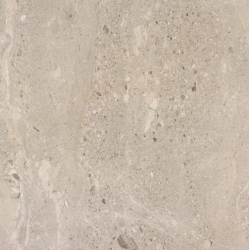 沙滩玫瑰
