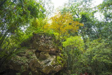 安顺龙宫风景区