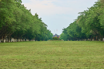 中大校园