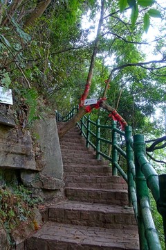 山林石梯拦路树干