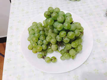 葡萄