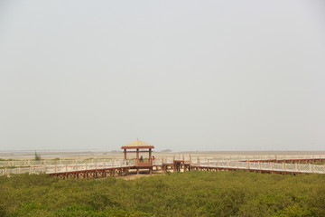 木栈道