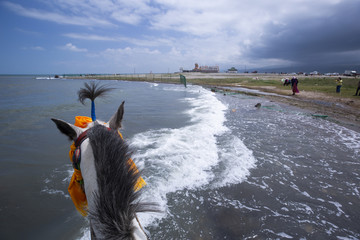 青海湖边骑马