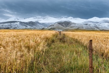 青海雪山风光