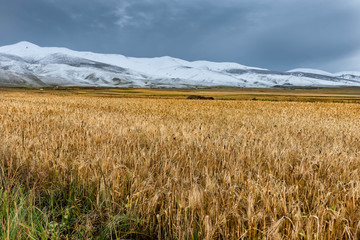 青海雪山风光