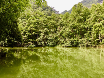 贵州卧龙潭风光