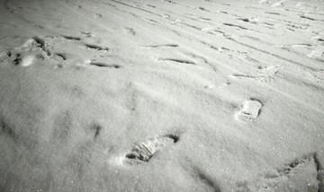 雪地