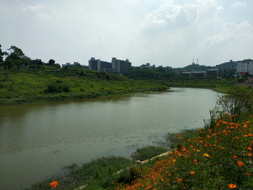 重庆花溪河畔风光