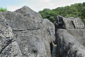 奥陶纪石林公园