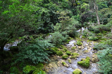 荔波小七孔景区