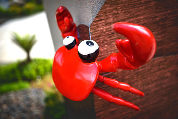 碧桂园吉祥物小螃蟹