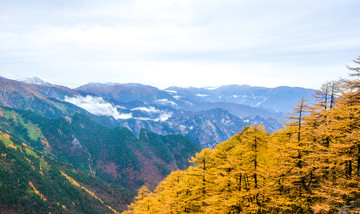 太白山风光