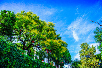 烟台山景区