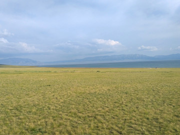 新疆赛里木湖环湖草原风光