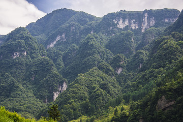 青山