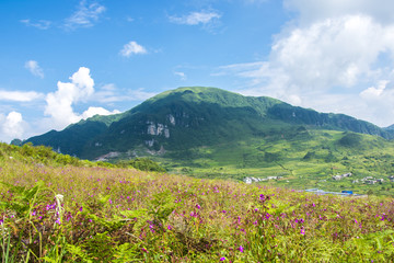 山野风光