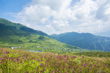 山野风光